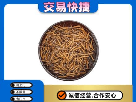 绍兴市柯桥高价回收散虫草